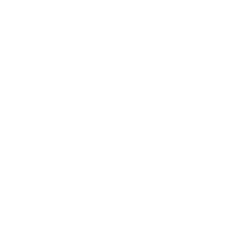 Dragon’s Challenge