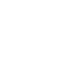 Spinback