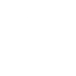 Stand Surfer