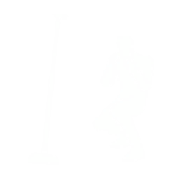 Shadow Vox