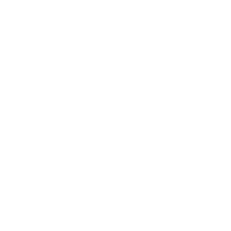 Rhythm of Chaos