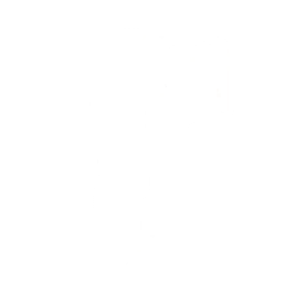 The Profiler