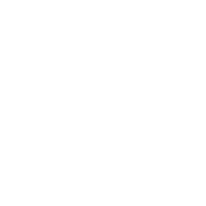 The Quick Style