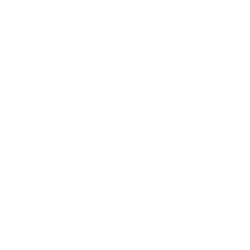 The Quick Style