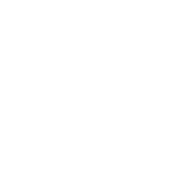 One-Inch Punch