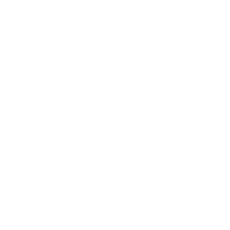 The Bus Stop