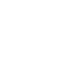Lil’ Turtle Van