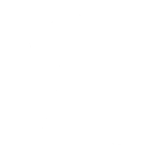 Introducing…