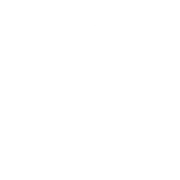 Puddle Hopper