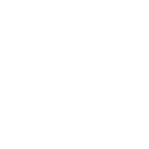 Flash Kick