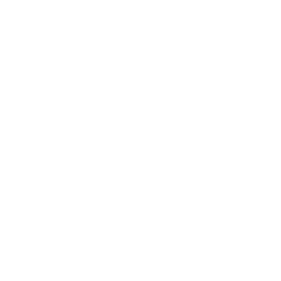 Ninja Stance: Donnie