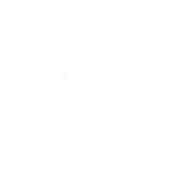Shadow Summoner