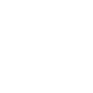 Lil’ Octane