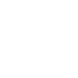 Disassemble