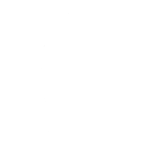 Lil’ Rover