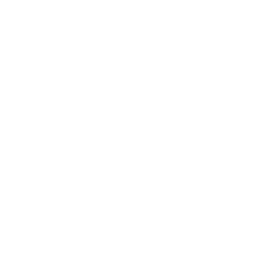 Blanka Backflip