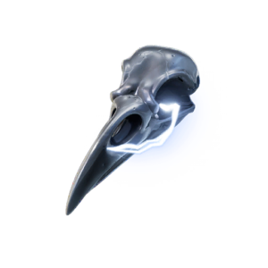 Bird Skull