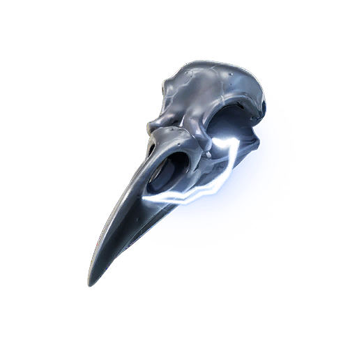 Bird Skull