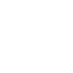 Lil’ Tank