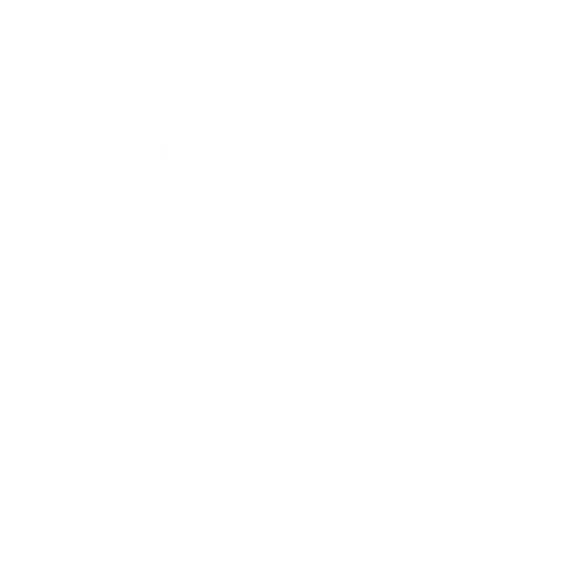 Lil’ Saucer
