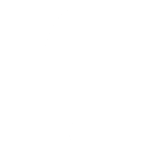 Skipper