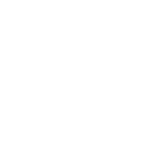 Skipper