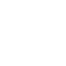 Nanite Flex