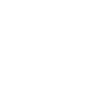 Shake & Slash