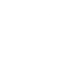 What’s Up Sketch? (Point)