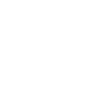 Dragon Stance