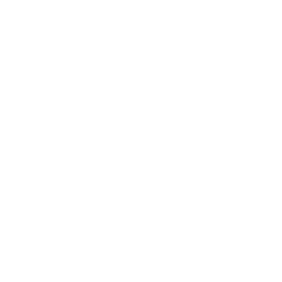 Ice Sculptor