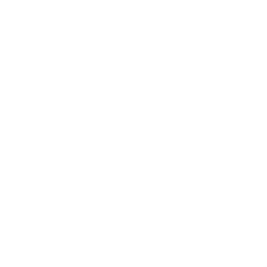 Sign Spinner