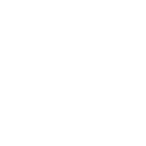 Lightning Kick!