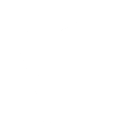 Lightning Kick!