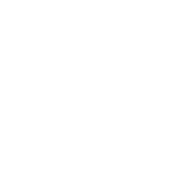 Black Hole Roller