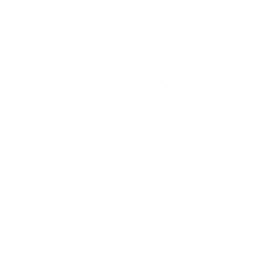 The Snowblower