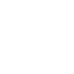 The Spark
