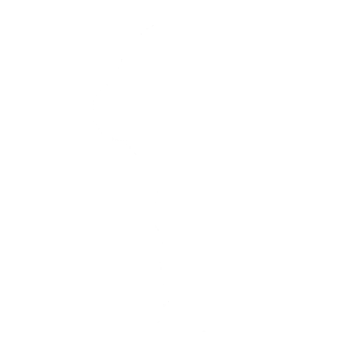Take a ‘bow