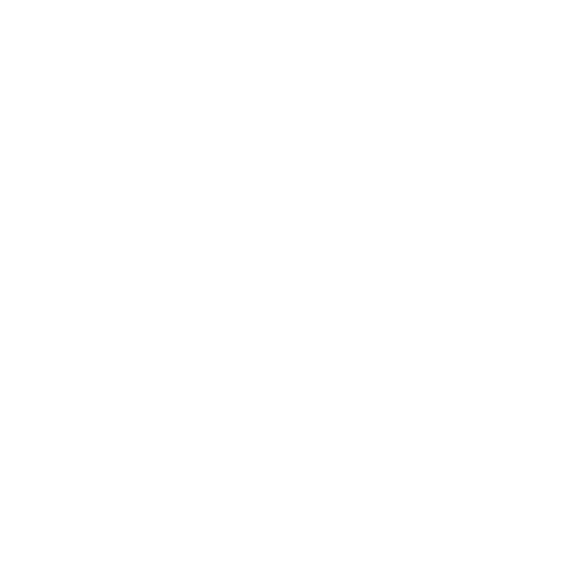Lil’ Carpet Ride