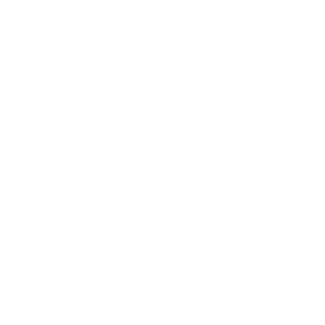 Paddle Royale