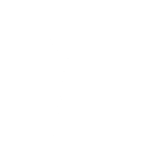 Paddle Royale