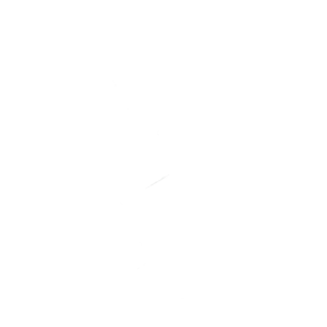 Dance Monkey