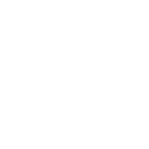T-Pose