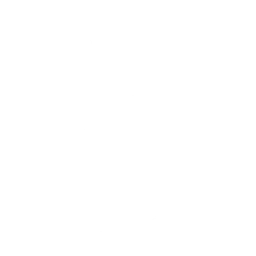 Lights Out