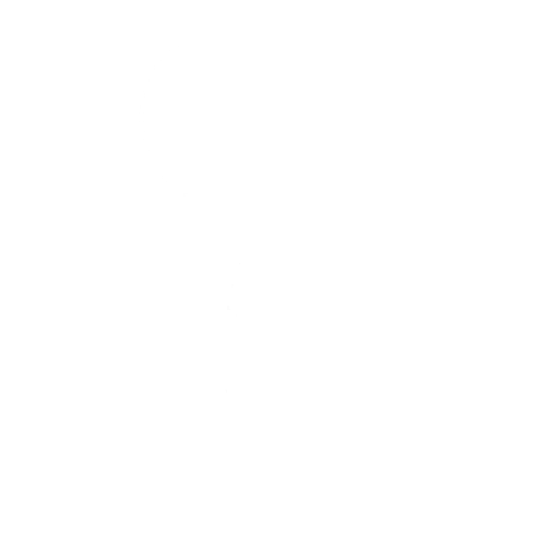 Cyberdyne Salute