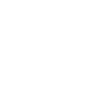Unicycle