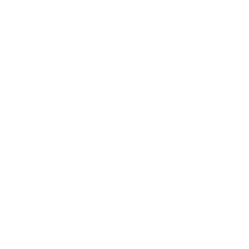 Unicycle