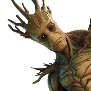 Groot