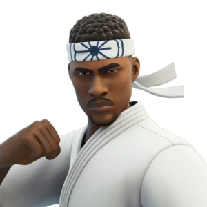 Dojo Defender