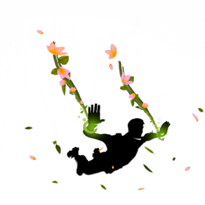 Blossom Drop